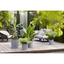 Bloempot Elho Greensense Aqua Care Rond - D43 X H34cm - Licht Beton 12 Bloempot Elho Greensense Aqua Care Rond - D43 X H34cm - Licht Beton -Plant Benodigdheden Winkel bloempot elho greensense aqua care rond d43 x h34cm licht beton bloempot 5 1