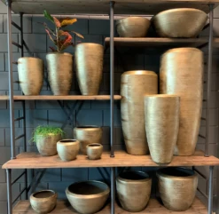 Plantenschaal Kos - D45 X H20cm - Goud -Plant Benodigdheden Winkel bloempot kos serie goud bloempot 3 1