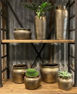 Plantenschaal Marrakesh - D24 X H14cm - Zilver Goud -Plant Benodigdheden Winkel bloempot marrakesh serie 3 1