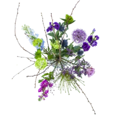 Nieuwkomers 3 Boeket Biezen Klein