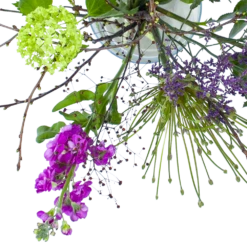 Nieuwkomers -Plant Benodigdheden Winkel boeket biezen boeketten 3 1