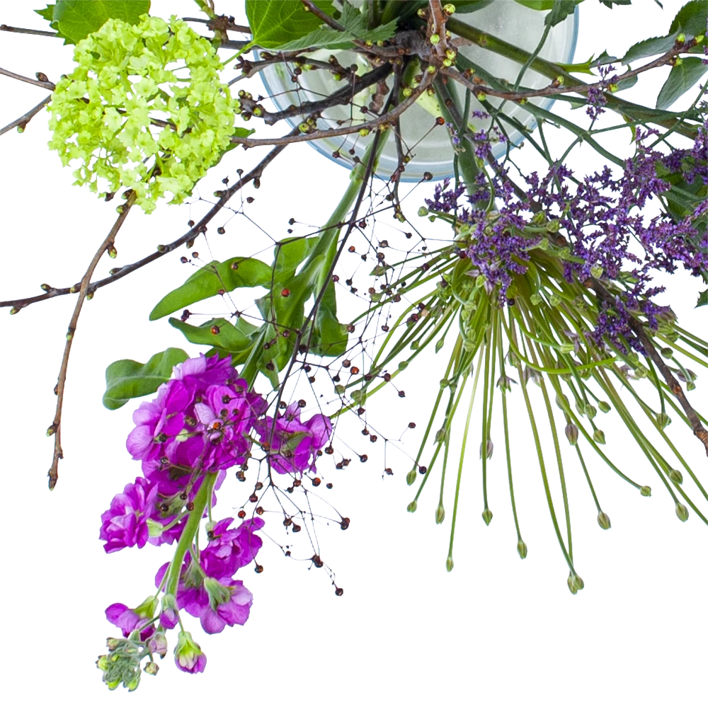 Boeket Biezen Groot 4 Boeket Biezen Groot - Afbeelding 2