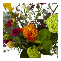 Boeket De Lente Groot -Plant Benodigdheden Winkel boeket de lente boeketten 3