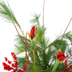 Boeket Deluxe Winter Groot -Plant Benodigdheden Winkel boeket deluxe winter boeketten 3 1 1