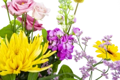 Boeket Eline Groot 10 Boeket Eline Groot -Plant Benodigdheden Winkel boeket eline boeketten 3