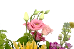 Boeket Eline Groot 11 Boeket Eline Groot -Plant Benodigdheden Winkel boeket eline boeketten 4