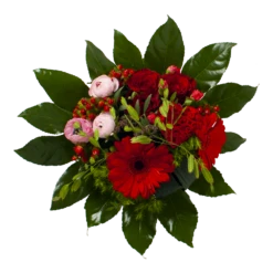 Nieuwkomers -Plant Benodigdheden Winkel boeket fijne moederdag 2