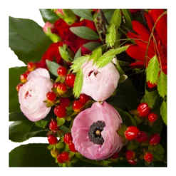 Boeket Fijne Moederdag Groot -Plant Benodigdheden Winkel boeket fijne moederdag 3 2