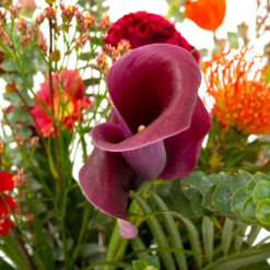 Boeket Herfst Warmte Groot -Plant Benodigdheden Winkel boeket herfst warmte groot boeketten 4