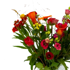 Boeket Hippe Herfst Klein -Plant Benodigdheden Winkel boeket hippe herfst klein boeketten 3 1