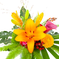 Boeket Klassiek Najaar Klein 10 Boeket Klassiek Najaar Klein -Plant Benodigdheden Winkel boeket klassiek najaar klein boeketten 3 1