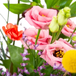 Boeket Kleurrijk Geplukt Klein -Plant Benodigdheden Winkel boeket kleurrijk geplukt boeketten 3 1