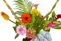 Boeket Lach Klein -Plant Benodigdheden Winkel boeket lach boeketten 3 1