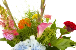 Boeket Lach Klein -Plant Benodigdheden Winkel boeket lach boeketten 4 1