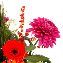 Boeket Liefdevolle Kerst Middel 10 Boeket Liefdevolle Kerst Middel -Plant Benodigdheden Winkel boeket liefdevolle kerst boeketten 3 1 2