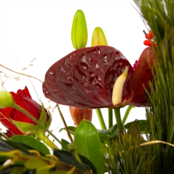 Boeket Liefdevolle Kerst Klein -Plant Benodigdheden Winkel boeket liefdevolle kerst boeketten 4 1