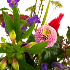 Boeket Paarse Passie Groot -Plant Benodigdheden Winkel boeket paarse passie groot boeketten 4