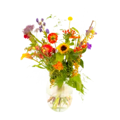 Boeket Plukgeluk Groot