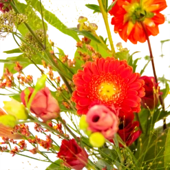 Boeket Plukgeluk Groot -Plant Benodigdheden Winkel boeket plukgeluk groot boeketten 3