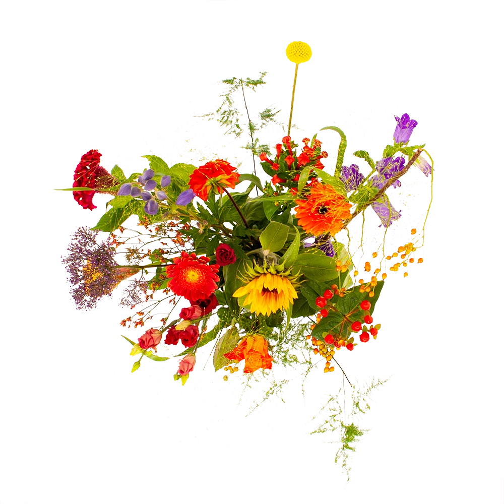 Boeket Plukgeluk Klein 4 Boeket Plukgeluk Klein - Afbeelding 2