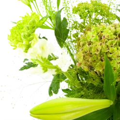 Boeket Puur Natuur Klein 10 Boeket Puur Natuur Klein -Plant Benodigdheden Winkel boeket puur natuur boeketten 3 1 1