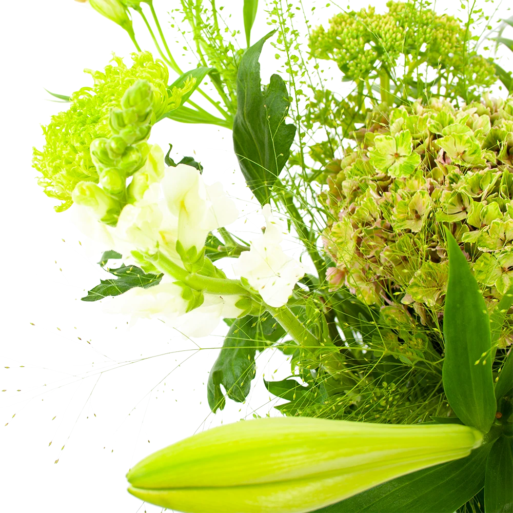 Boeket Puur Natuur Klein 5 Boeket Puur Natuur Klein - Afbeelding 3