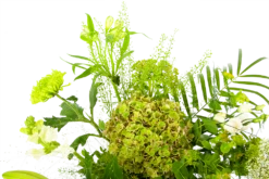 Boeket Puur Natuur Middel -Plant Benodigdheden Winkel boeket puur natuur boeketten 4 1