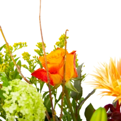 Boeket Seizoensgebonden Groot 8 Boeket Seizoensgebonden Groot -Plant Benodigdheden Winkel boeket seizoensgebonden boeketten 2