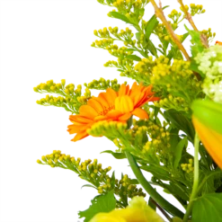 Boeket Seizoensgebonden Groot 9 Boeket Seizoensgebonden Groot -Plant Benodigdheden Winkel boeket seizoensgebonden boeketten 3