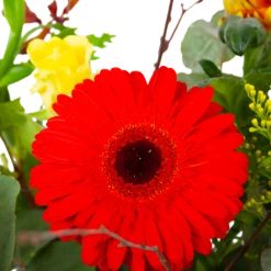 Boeket Speciale Verrassing Groot -Plant Benodigdheden Winkel boeket speciale verrassing boeketten 3