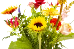 Boeket Vlinder Middel -Plant Benodigdheden Winkel boeket vlinder boeketten 3 3