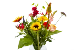 Boeket Vlinder Groot -Plant Benodigdheden Winkel boeket vlinder boeketten 4 3 1