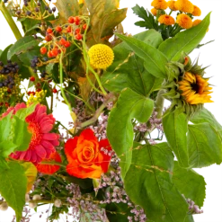 Boeket Vrolijk Groot 11 Boeket Vrolijk Groot -Plant Benodigdheden Winkel boeket vrolijk groot boeketten 4