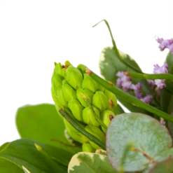 Boeket Vrolijk Seizoen Groot -Plant Benodigdheden Winkel boeket vrolijk seizoen boeketten 3