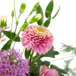 Boeket Vrolijke Verrassing Groot -Plant Benodigdheden Winkel boeket vrolijke verrassing boeketten 3 1