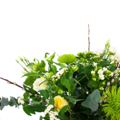 Boeket Witte Dagen Klein -Plant Benodigdheden Winkel boeket witte dagen boeketten 3 1 1