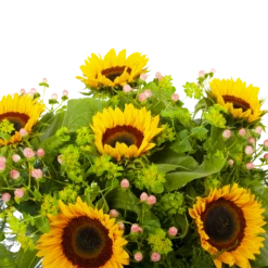 Boeket Zonnestraal Middel -Plant Benodigdheden Winkel boeket zonnestraal boeketten 3 3