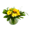 Boeket Zonnetje Middel -Plant Benodigdheden Winkel boeket zonnetje boeketten 1 1