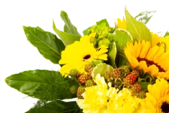 Boeket Zonnetje Middel -Plant Benodigdheden Winkel boeket zonnetje boeketten 4 1