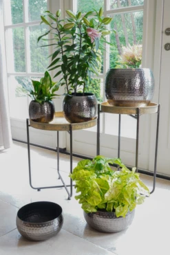 Plantenschaal Kody - D28 X H13cm - Lood -Plant Benodigdheden Winkel bowl kody lead d28 h13 plantenschaal lood 6 6