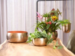 Plantenschaal Kody - D28 X H13cm - Rosu00e9 Goud -Plant Benodigdheden Winkel bowl kody rose gold d28 h13 plantenschaal rose goud 6 6