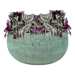 Plantenschaal Ryan - D28 X H13cm - Shiny Blue -Plant Benodigdheden Winkel bowl ryan shiny blue keramiek d28 h13 schaal 6 7