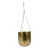 Hangpot Kody - D17 X H20cm - Goud -Plant Benodigdheden Winkel hanger kody gold d17 h20 hangpot 1 4