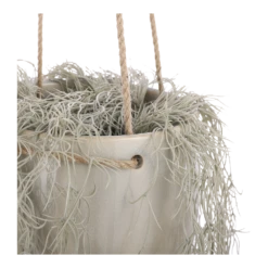 Hangpot Resa - D18,5 X H17cm - Lichtgrijs -Plant Benodigdheden Winkel hangpot resa d18 5 x h17cm lichtgrijs hangpot 3 1