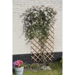 Nature - Houten Klimrek Naturel 100x200cm -Plant Benodigdheden Winkel nature houten klimrek naturel 100x200cm 3 2