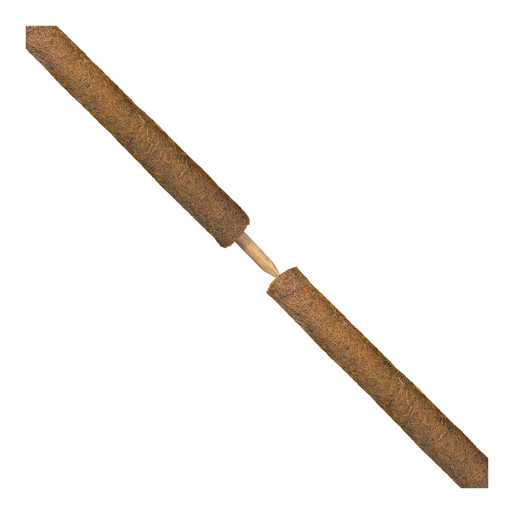 Nature - Kokosplantstok H120cm U00f860mm 4 Nature - Kokosplantstok H120cm U00f860mm - Afbeelding 2