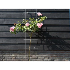 Nature - Metalen Klimrek Geplastificeerd Groen H145x42,5cm -Plant Benodigdheden Winkel nature metalen klimrek geplastificeerd groen h145x42 5cm 3 2