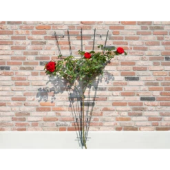 Nature - Metalen Klimrekv Geplastificeerd Groen H145x5/75cm -Plant Benodigdheden Winkel nature metalen klimrekv geplastificeerd groen h145x5 75cm 3 2