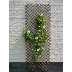 Nature - Wilgenklimrek 60x180cm 10 Nature - Wilgenklimrek 60x180cm -Plant Benodigdheden Winkel nature wilgenklimrek 60x180cm 4 2