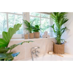 Plantenmand Joris - D38 X H33cm - Naturel -Plant Benodigdheden Winkel plantenmand joris naturel plantenmand 3 1